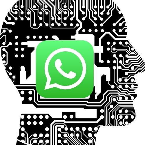 Whatsapp Business Ne Gibi Kolaylıklar Sunuyor ?